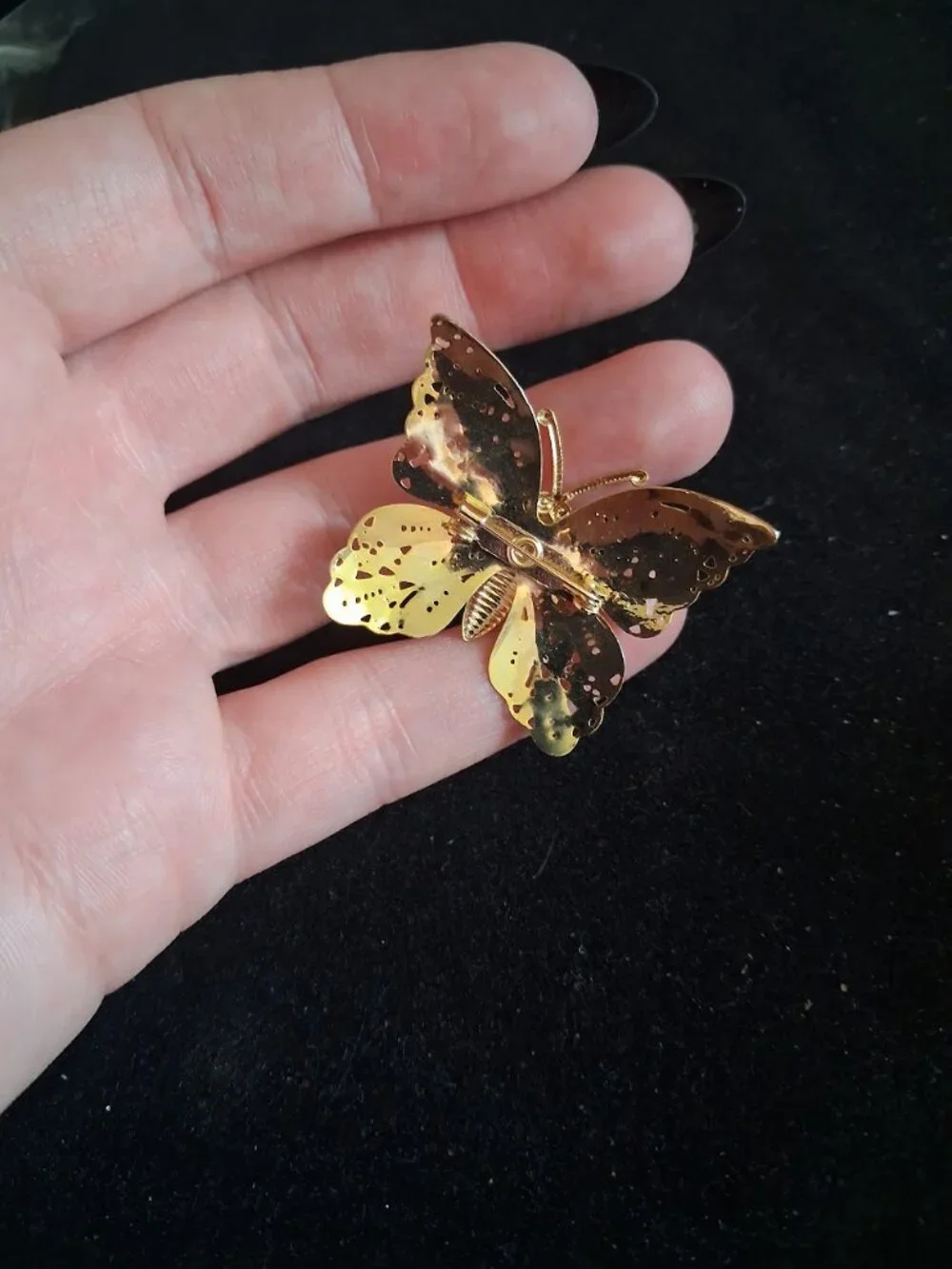 Lions Club Butterfly brooch